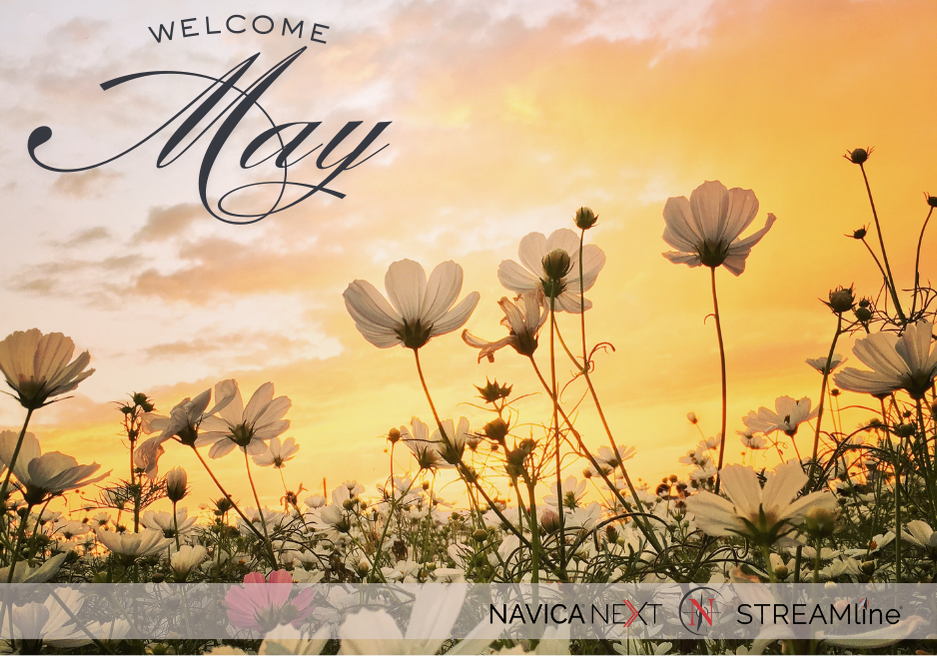 Navica Web Solutions