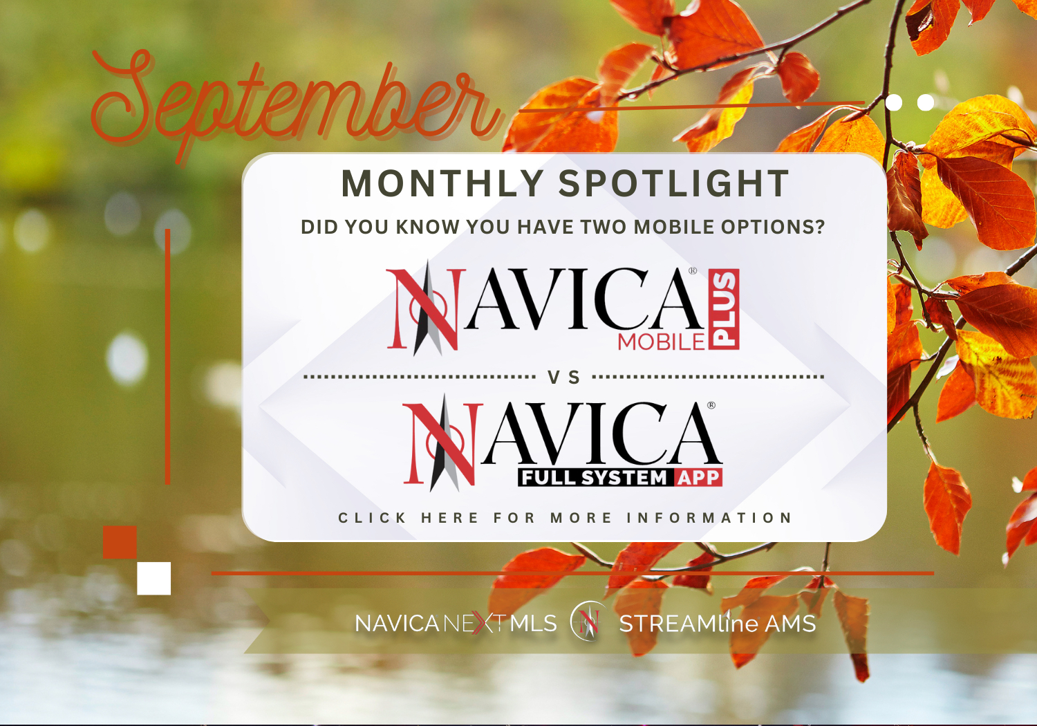 Navica Web Solutions